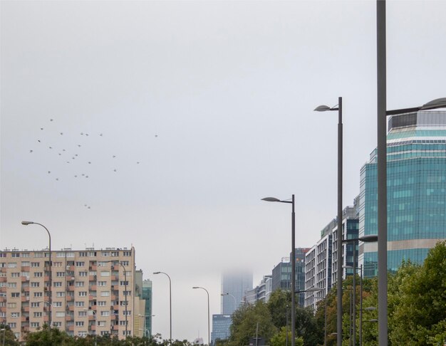 Highrise Buildings in the Center of Warsaw Poland Fog in the Background Autumn in the Capital