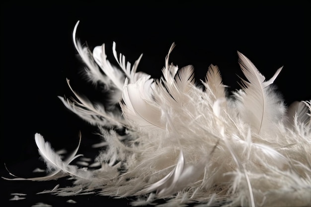 Highspeed shot of white feathers in the wind flying past camera