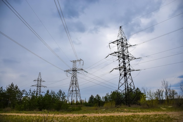 Highvoltage supports stand in the middle of a coniferous forest