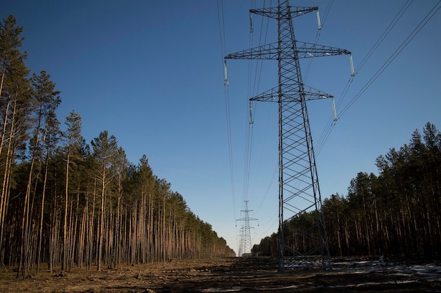 Highvoltage transmission towers against the blue sky in the forest