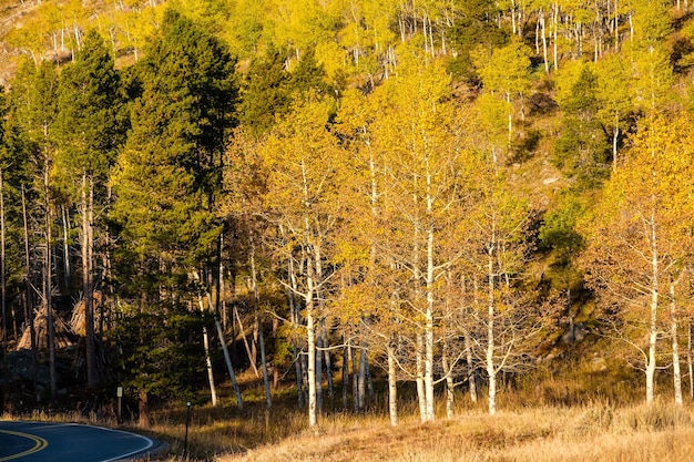 Highway at autumn in Colorado USA