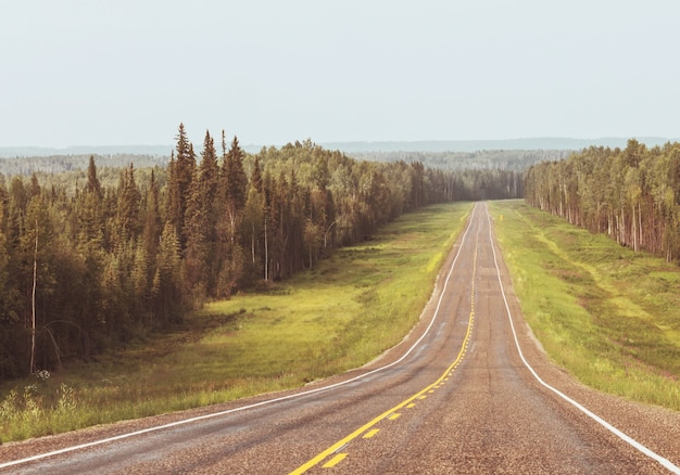 Highway in Canadian forest at summer season