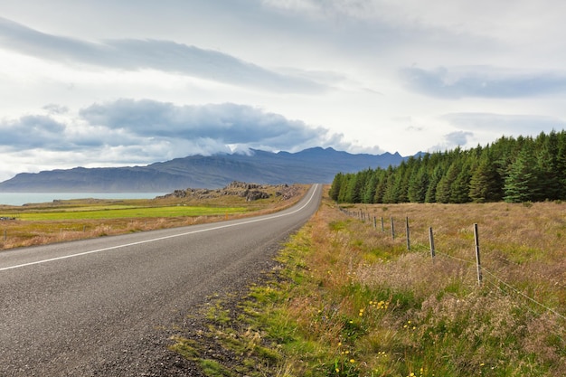 Photo highway through east iceland landscape