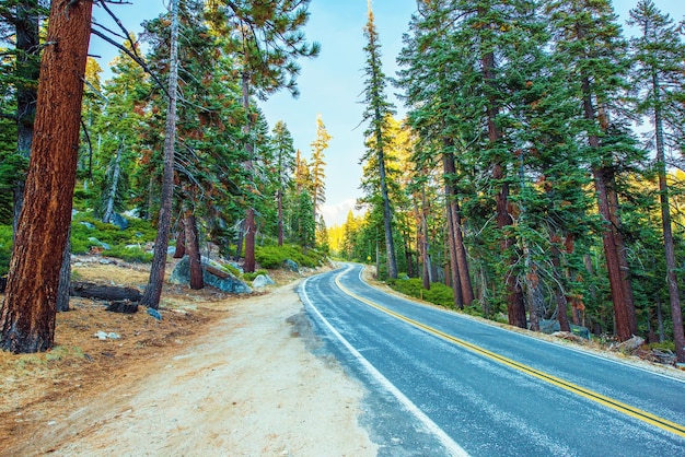 Photo highway through sierra nevada mountains in california united states
