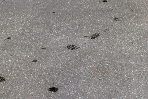 A highway with oil stains on the surface