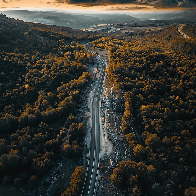 шоссе с дорогой и деревьями на его стороне
