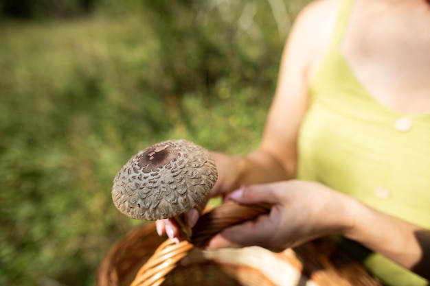 Hij gooit een eetbare paddenstoel Macrolepiota procera in de prullenbak