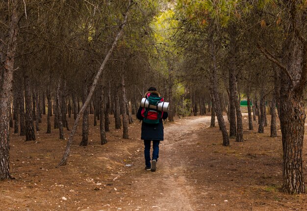 Hike and adventure at mountain.