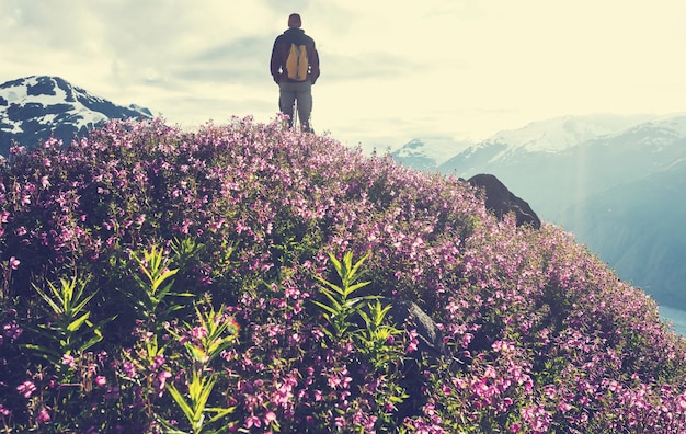 Hike in  Alaska at summertime