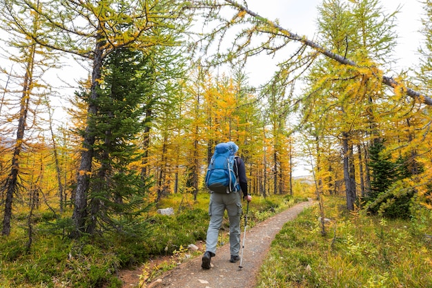 Hike in the autumn mountains. Fall season theme.