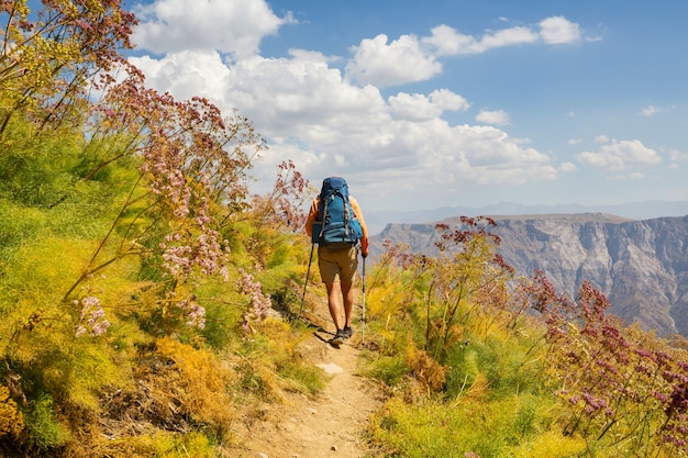 Escursione nelle montagne chimgan, uzbekistan.