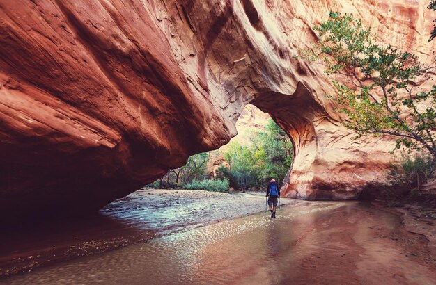 Hike in Coyote gulch