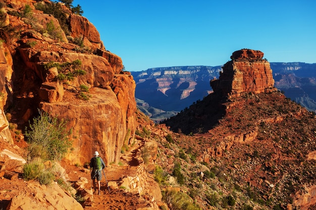 Hike in Grand Canyon National Park