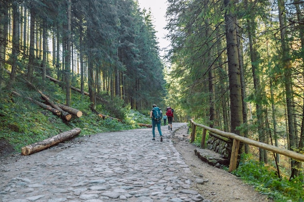 Hike group of people hiking forest trail in autumn nature going camping with backpacks during summer hike