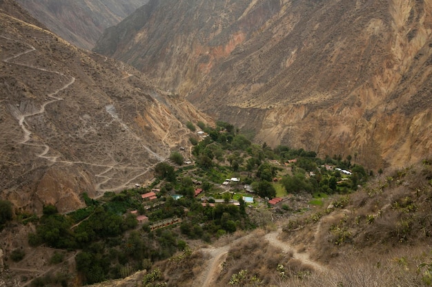 Hike through the Colca Canyon following the route from Cabanaconde to the Oasis