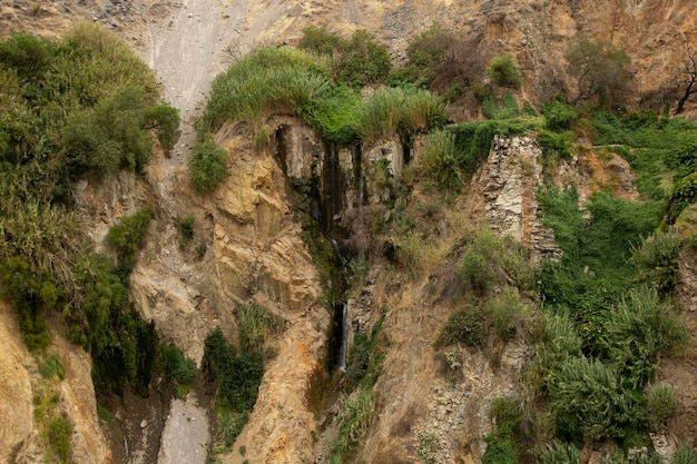 Hike through the Colca Canyon following the route from Cabanaconde to the Oasis