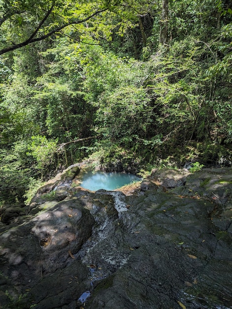 Foto fai un'escursione attraverso le cristalline cascate celestiali a panama