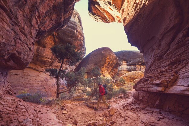 Hike in the Utah mountains