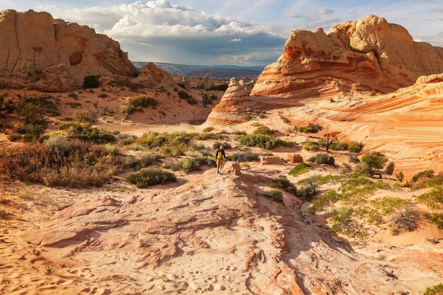 Hike in the Utah mountains