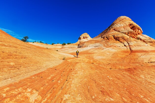 Hike in the Utah mountains