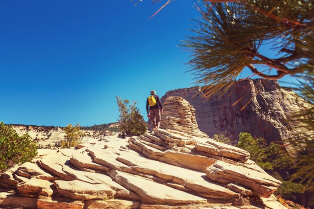 Hike in Zion National Park