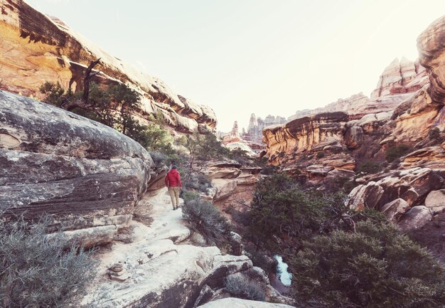 Photo hike in zion national park