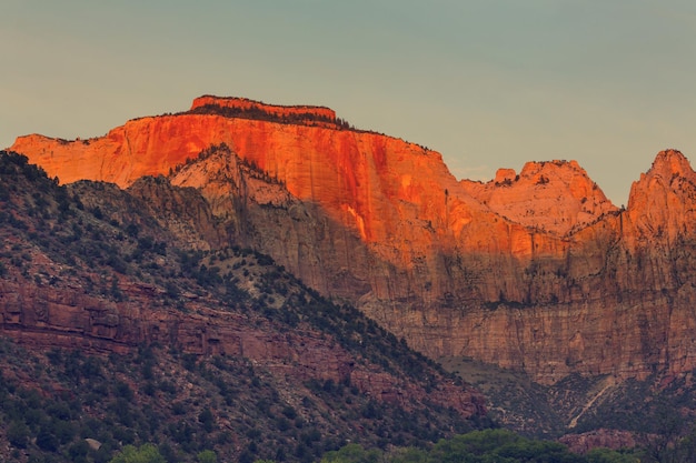 Hike in Zion National Park