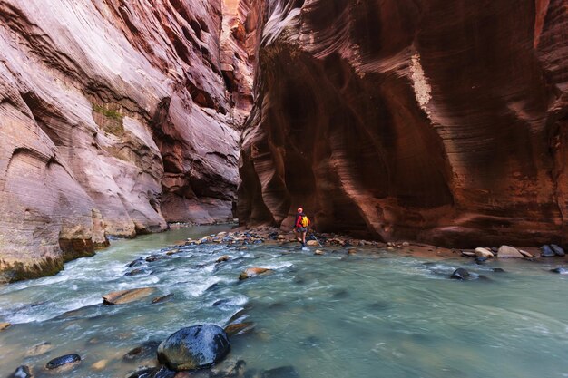 Hike in Zion national park