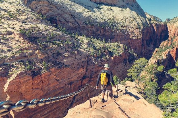 Hike in Zion national park