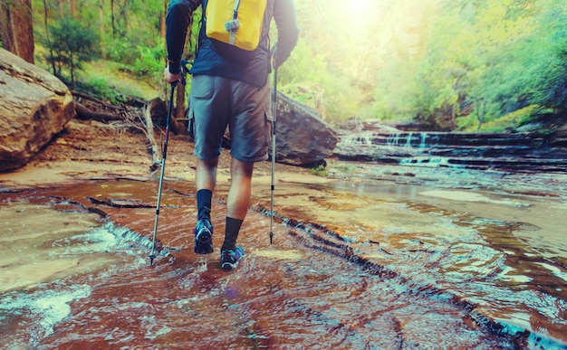 Hike in Zion National Park