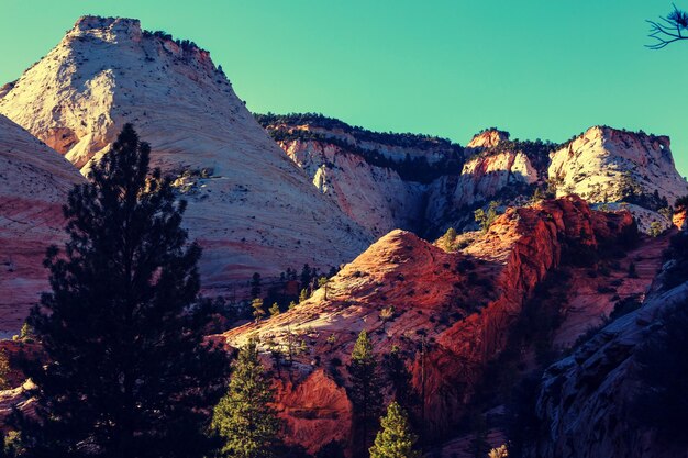 Photo hike in zion national park