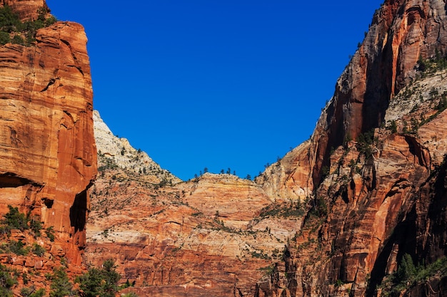 Hike in Zion National Park