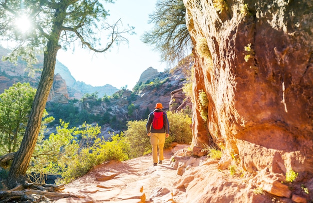 Hike in Zion National Park