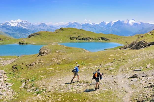 Hiker в красивой горе