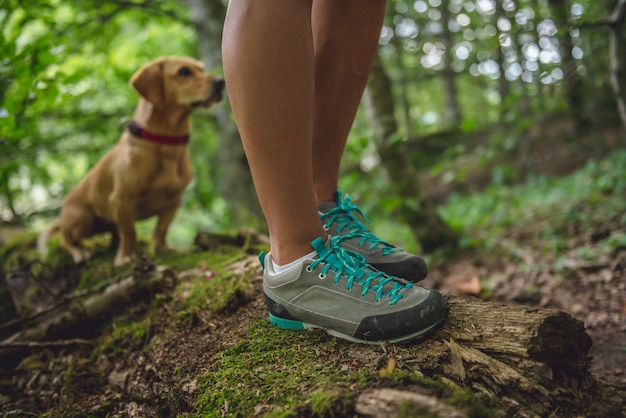 Hiker boots on tree log