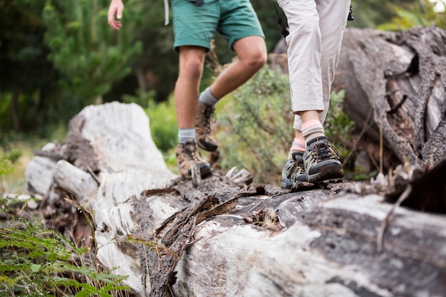 Hiker couple walking on tree trunk