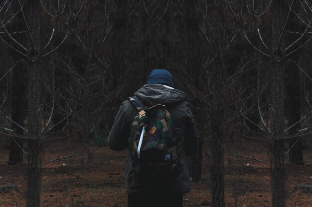 Photo hiker looking at forest