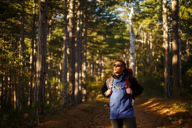 Hiker man walks in a pine yellow autumn forest Tourist wears sport sunglasses
