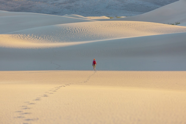 Hiker in sand desert. Sunrise time.