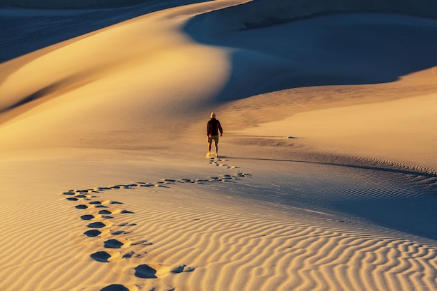 Hiker in sand desert. Sunrise time.