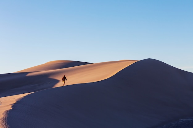 Hiker in sand desert. Sunrise time.