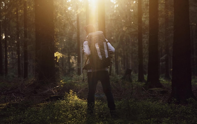 Hiker standing in the forest and watching sunset over trees