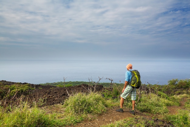 Hiker on the trail in palm plantation, Hawaii, USA