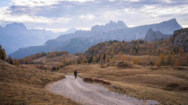 Hiker walking through alpine valley with golden larches and towering mountains italy europe