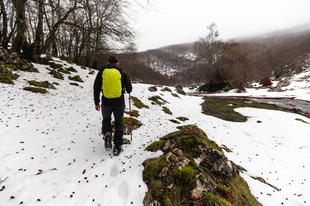 Photo hiker walking through a winter landscape