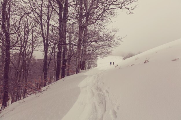 Hiker with snowshoes in winter