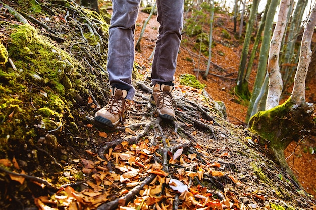 Hikers boots on forest trail. autumn hiking. close-up of male
walking in trekking shoes on the background of leaves and trees.
travel, sports, lifestyle concept.