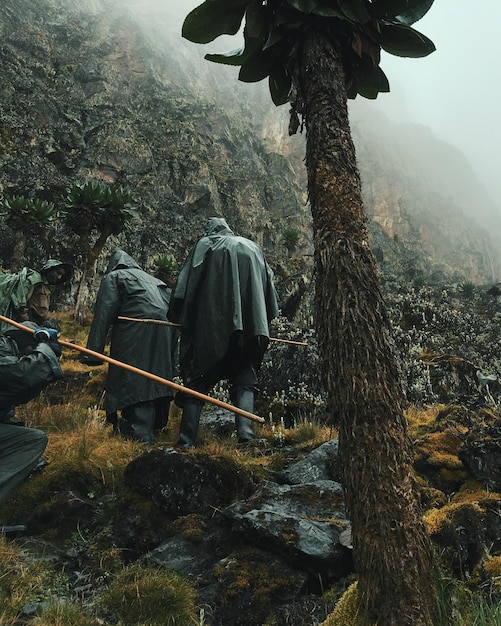 Photo hikers on mountain