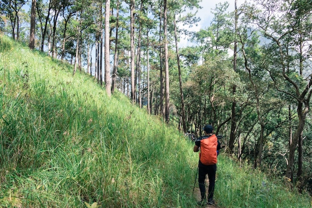 Escursionisti che camminano nella foresta pluviale tropicale al parco nazionale