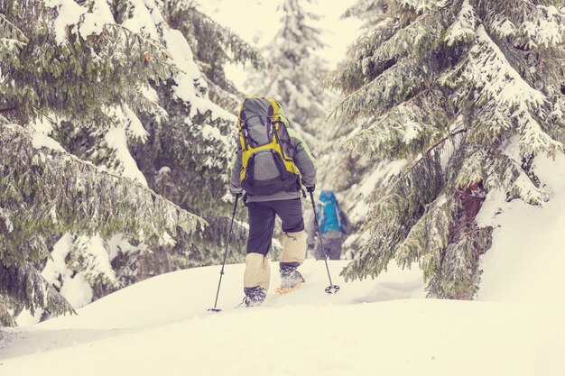 Escursionisti in montagna d'inverno